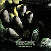 Thumbnail for the Dither - The Architect link, provided by host site