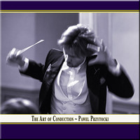Thumbnail for the Pawel Przytocki - The Art of Conduction: Pawel Przytocki link, provided by host site