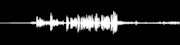 Thumbnail for the Stu Allen and Mars Hotel - The Auburn Event Center link, provided by host site