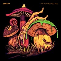 Thumbnail for the Gecko - The Augmented Age link, provided by host site
