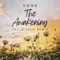Thumbnail for the York - The Awakening (Talla 2XLC Remix) link, provided by host site