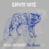 Thumbnail for the Ryan Anthony - The Basics link, provided by host site