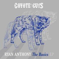 Thumbnail for the Ryan Anthony - The Basics link, provided by host site
