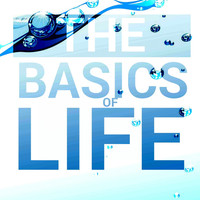 Thumbnail for the HyperSOUL-X - The Basics Of Life (Main Hype-Tribe Mix) link, provided by host site