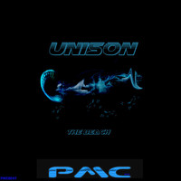 Thumbnail for the Unison - The Beach link, provided by host site