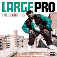 Thumbnail for the Large Pro - The Beginning / After School link, provided by host site