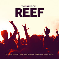Thumbnail for the Reef - The Best Of link, provided by host site