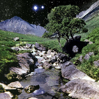 Thumbnail for the The Beta Band - The Beta Band link, provided by host site