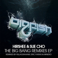 Thumbnail for the Hirshee - The Big Bang Remixes link, provided by host site