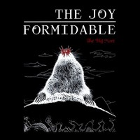 Thumbnail for the The Joy Formidable - The Big More link, provided by host site