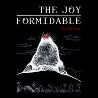 Thumbnail for the The Joy Formidable - The Big More link, provided by host site