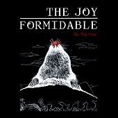 Thumbnail for the The Joy Formidable - The Big More link, provided by host site