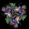 Thumbnail for the Life Cycle - The Big Picture link, provided by host site