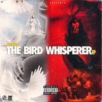 Thumbnail for the AzSwaye - The Bird Whisperer link, provided by host site