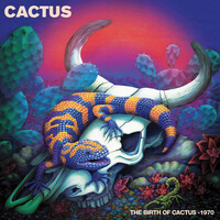 Thumbnail for the Cactus - The Birth of Cactus - 1970 link, provided by host site