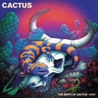 Thumbnail for the Cactus - The Birth of Cactus - 1970 link, provided by host site