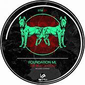 Thumbnail for the Foundation Ml - The Black Dog link, provided by host site