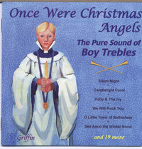 Thumbnail for the Robin Walker - The Blessed Virgin's Cradle Song link, provided by host site
