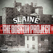 Thumbnail for the Big Left - The Boston Project link, provided by host site