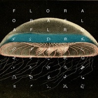 Thumbnail for the Flora - The Bottom link, provided by host site