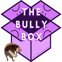 Thumbnail for the Phil Cook - THE BULLY BOX link, provided by host site