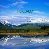 Thumbnail for the 101 Strings Orchestra - The Calm link, provided by host site