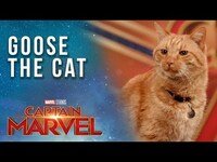 Thumbnail for the Goose - The Cat gets ready for the Captain Marvel Red Carpet! link, provided by host site