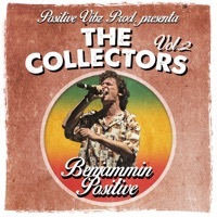 Thumbnail for the Positive Vibz - The Collector's (Positive), Vol. 2 link, provided by host site