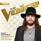 Thumbnail for the Adam Wakefield - The Complete Season 10 Collection link, provided by host site