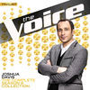 Thumbnail for the Joshua Davis - The Complete Season 8 Collection (The Voice Performance) link, provided by host site