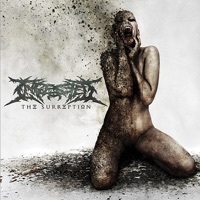 Thumbnail for the Ingested - The Consequence link, provided by host site