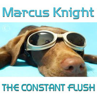 Thumbnail for the Marcus Knight - The Constant Flush link, provided by host site