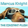 Thumbnail for the Marcus Knight - The Constant Flush link, provided by host site