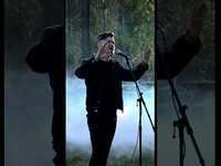 Thumbnail for the Peyton Parrish - The Cranberries #zombie #rock #thecranberries link, provided by host site