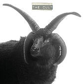 Thumbnail for the The Cult - The Cult link, provided by host site