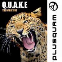Thumbnail for the Q.u.a.k.e - The Dark Side link, provided by host site