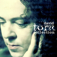 Thumbnail for the David Torn - The David Torn Collection link, provided by host site