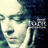 Thumbnail for the David Torn - The David Torn Collection link, provided by host site