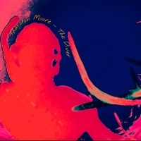 Thumbnail for the Thurston Moore - The Diver link, provided by host site