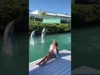 Thumbnail for the Julia Cole - The dolphins agree you shouldn't be a cheater! link, provided by host site