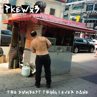 Thumbnail for the Pkew Pkew Pkew - The Dumbest Thing I Ever Done link, provided by host site