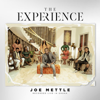 Thumbnail for the Joe Mettle - The Experience link, provided by host site