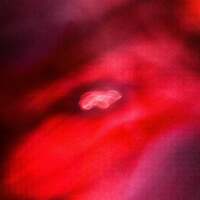 Thumbnail for the SaffronKeira - The Faded Orbit link, provided by host site