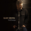 Thumbnail for the Blake Shelton - The Flow link, provided by host site