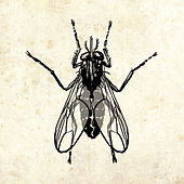 Thumbnail for the Chubby Checker - The Fly link, provided by host site