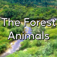 Thumbnail for the Joe Newman - The Forest Animals Collection link, provided by host site