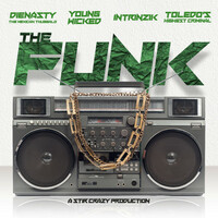 Thumbnail for the Intrinzik - The Funk link, provided by host site