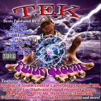 Thumbnail for the T.E.K. - The Funk Storm link, provided by host site