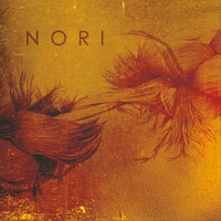 Thumbnail for the Nori - The Garden (With Strings) link, provided by host site