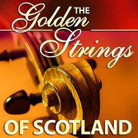 Thumbnail for the The Scottish Fiddle Orchestra - The Golden Strings of Scotland link, provided by host site